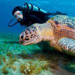 Montego Bay Marine Park