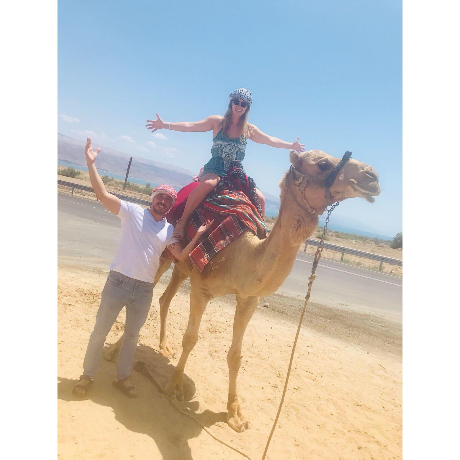 Making camel friends in Israel