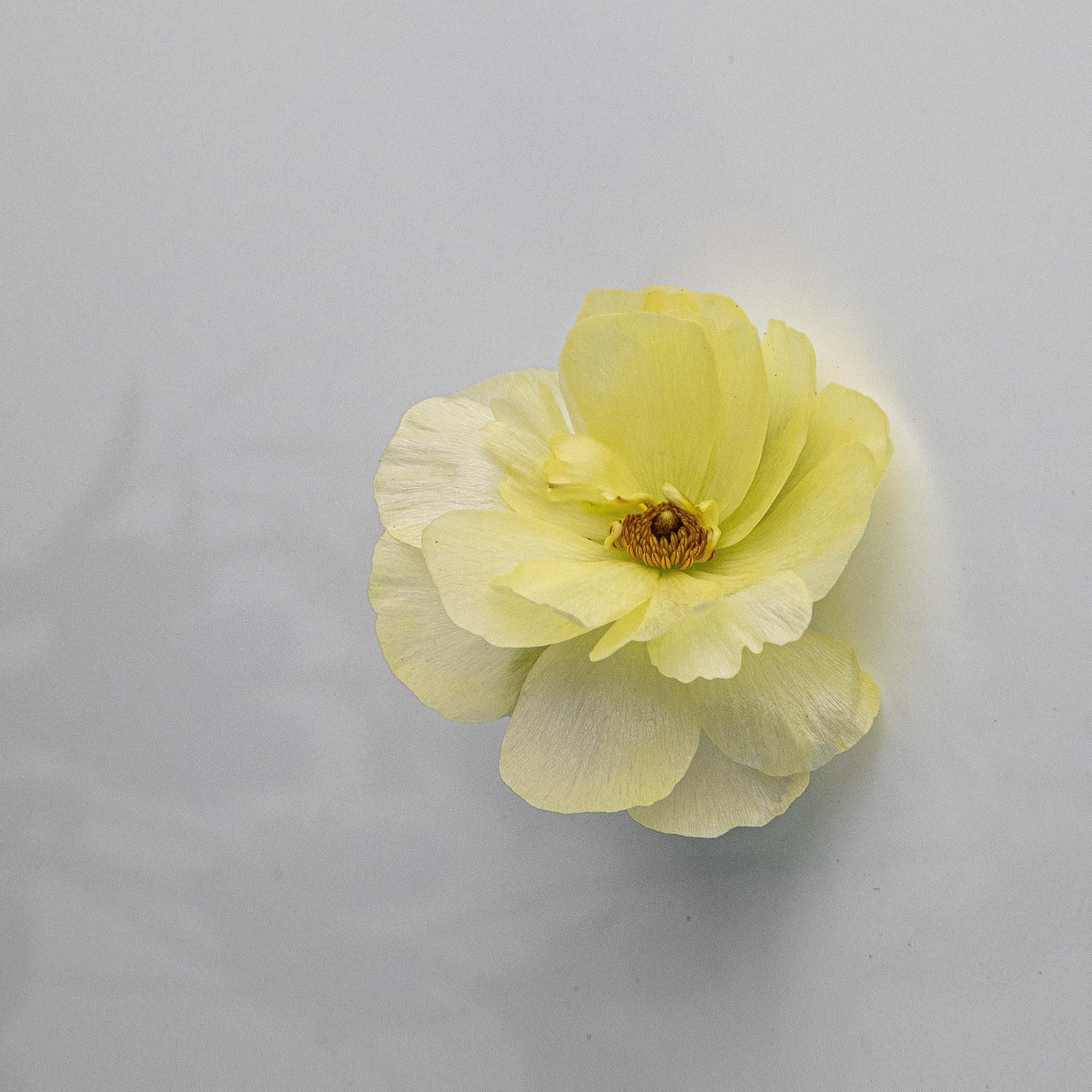 Honeymoon & Future Fund