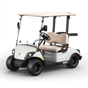 Golf cart fund
