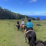 Waipi’o On Horseback ⸺ HORSEBACK RIDING