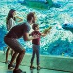 SeaWorld San Antonio