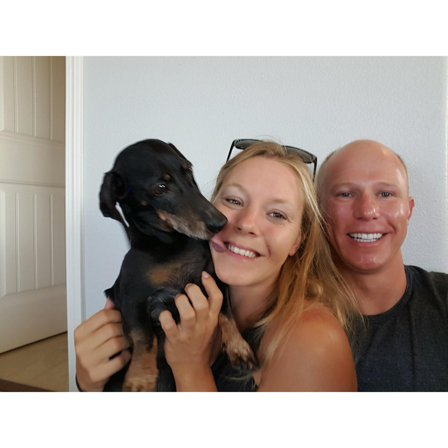 sandwells weiner dog madness