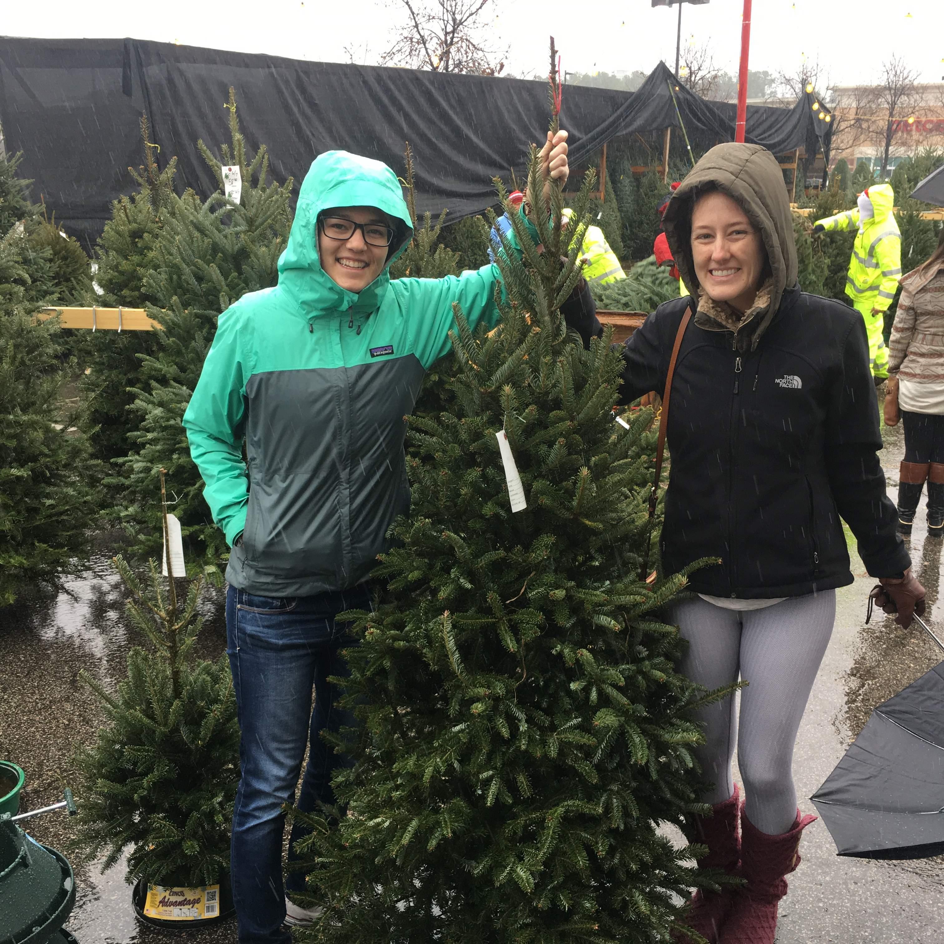 picking out our first xmas tree