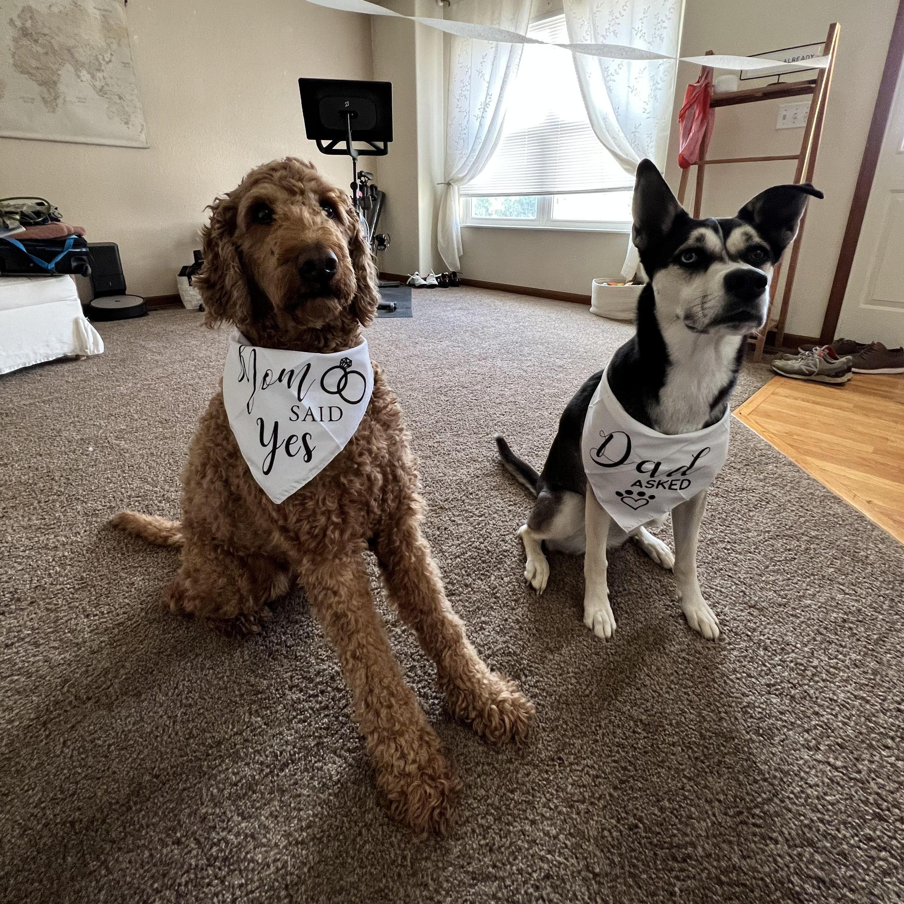 Ethan and Olivia coordinated a engagement celebration for the happy couple when they got back to the States!