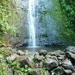 Na Ala Hele: Manoa Falls Trail