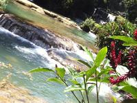YS Falls