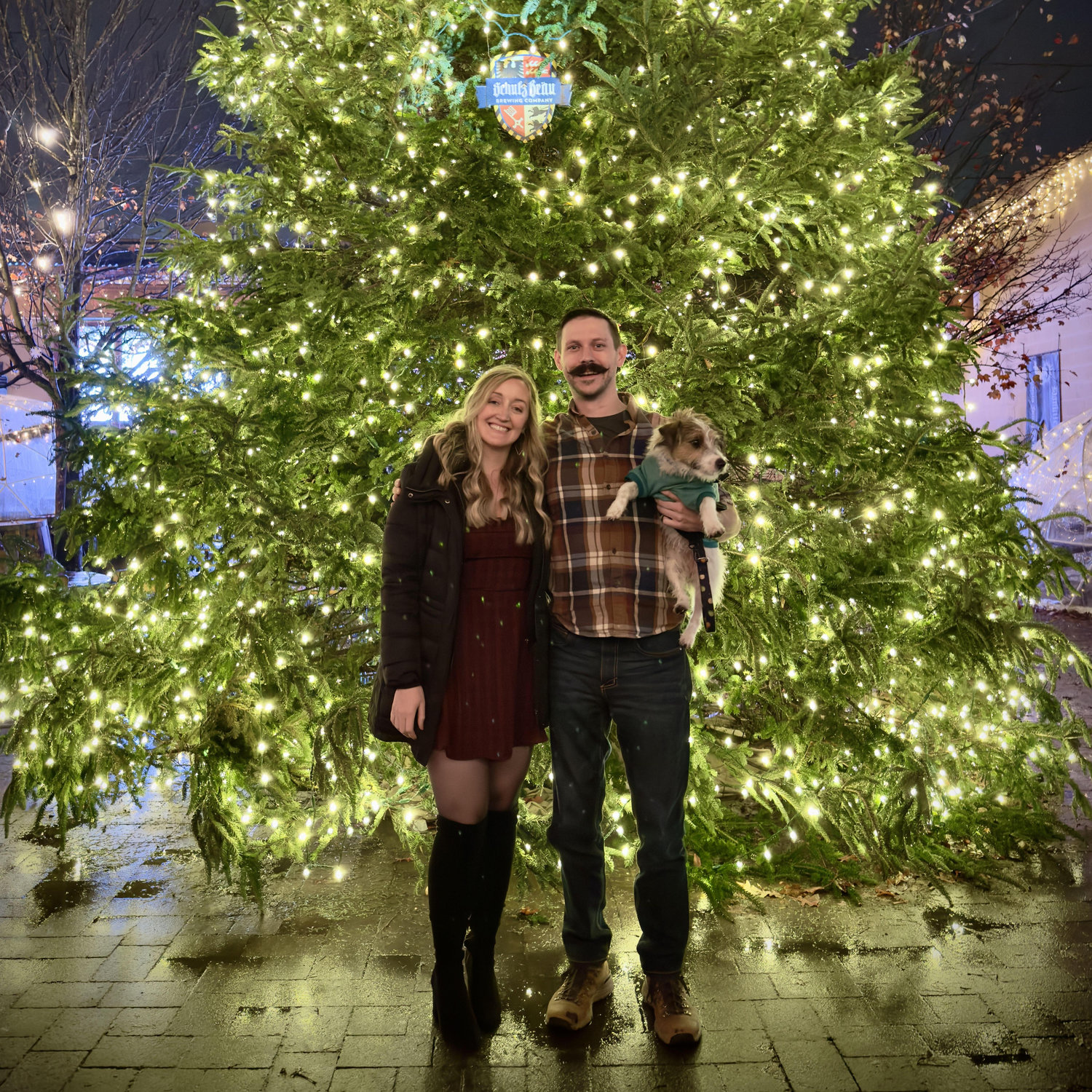 Christmas in Knoxville, TN
