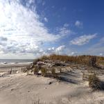 Robert Moses State Park - Long Island