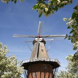 Windmill Island