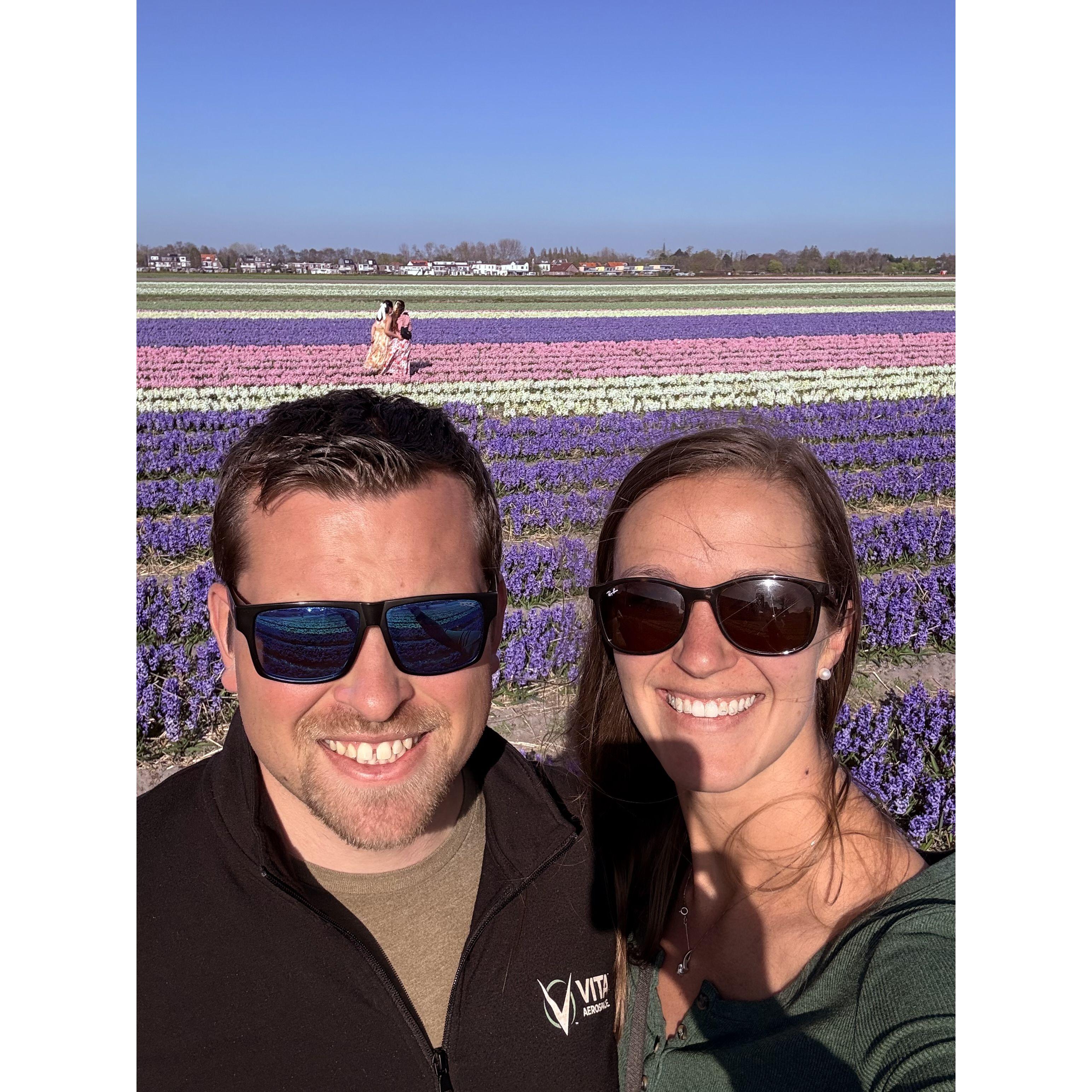Amsterdam Tulip Fields
