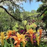 Fairchild Tropical Botanic Garden