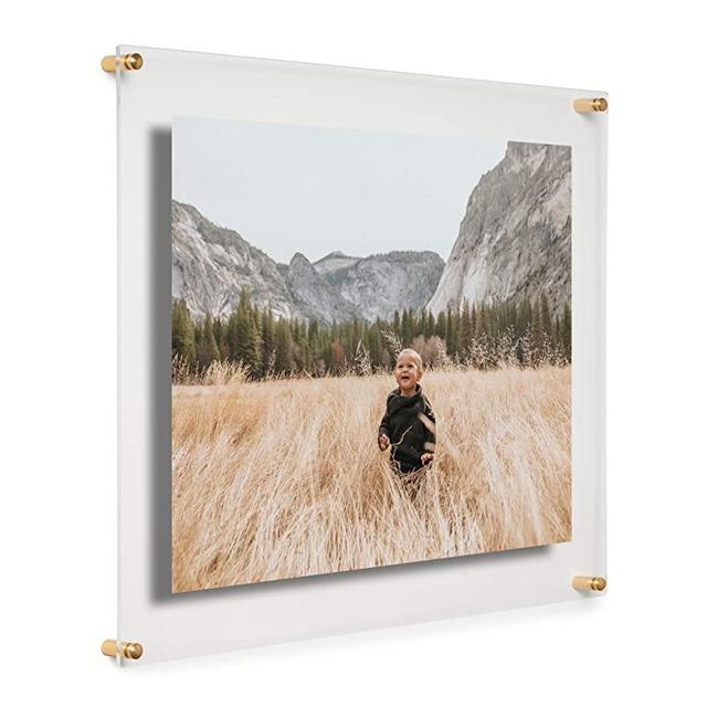 Cool Modern Frames Clear Floating Double Panel Acrylic Picture Frame, 16x20-Inch, Gold Hardware
