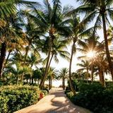 Miami Beach