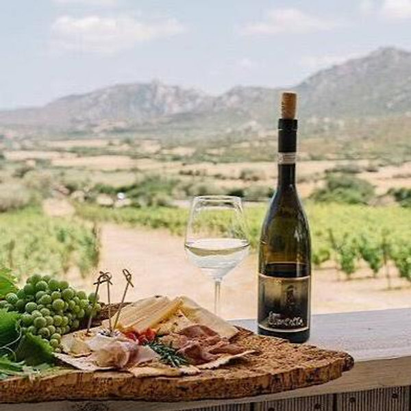 Winery Lunch in Sardinia at Colline del Vento