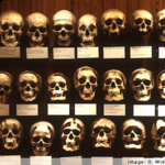The College of Physicians of Philadelphia - The Mutter Museum