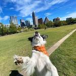 Auditorium Shores at Lady Bird Lake