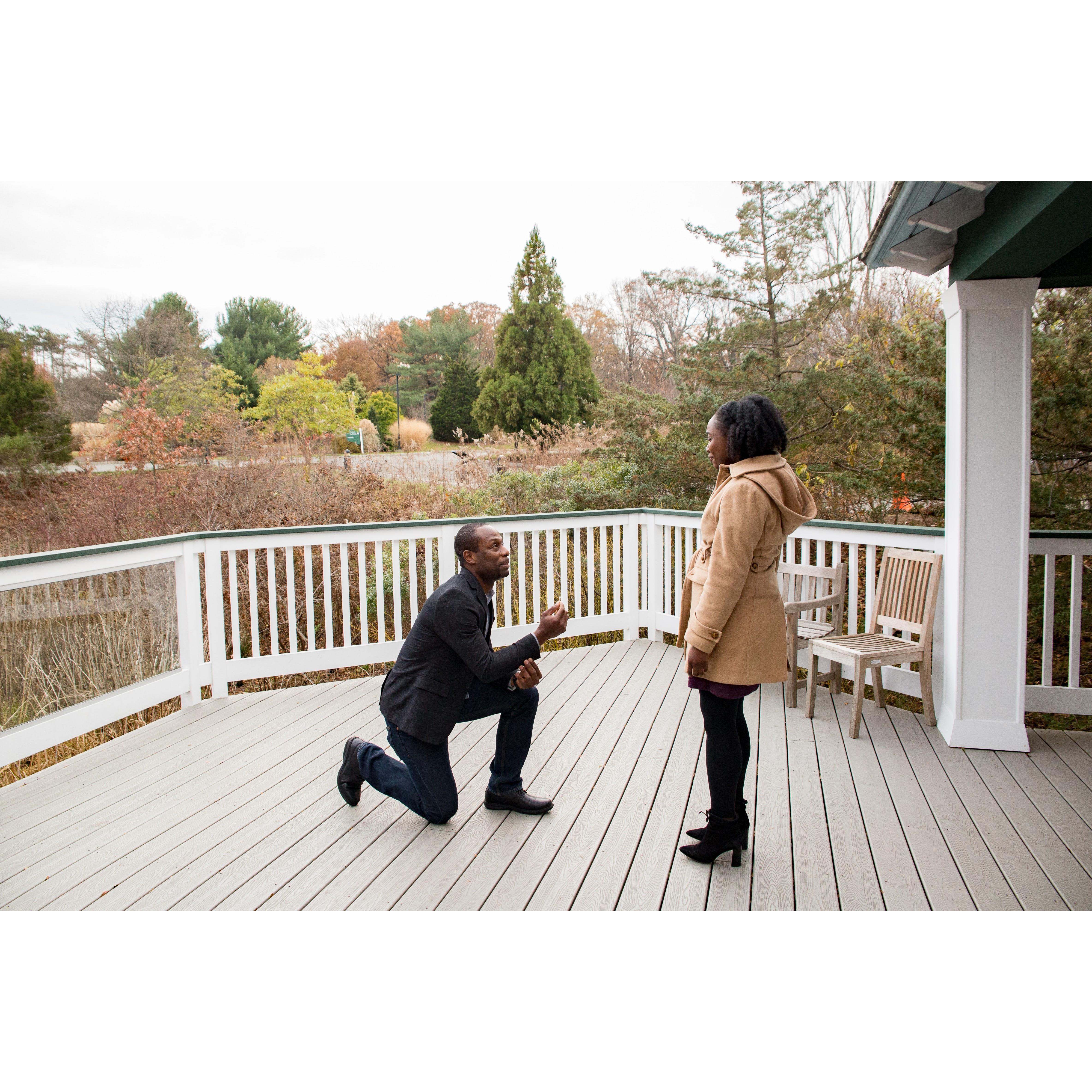The Proposal