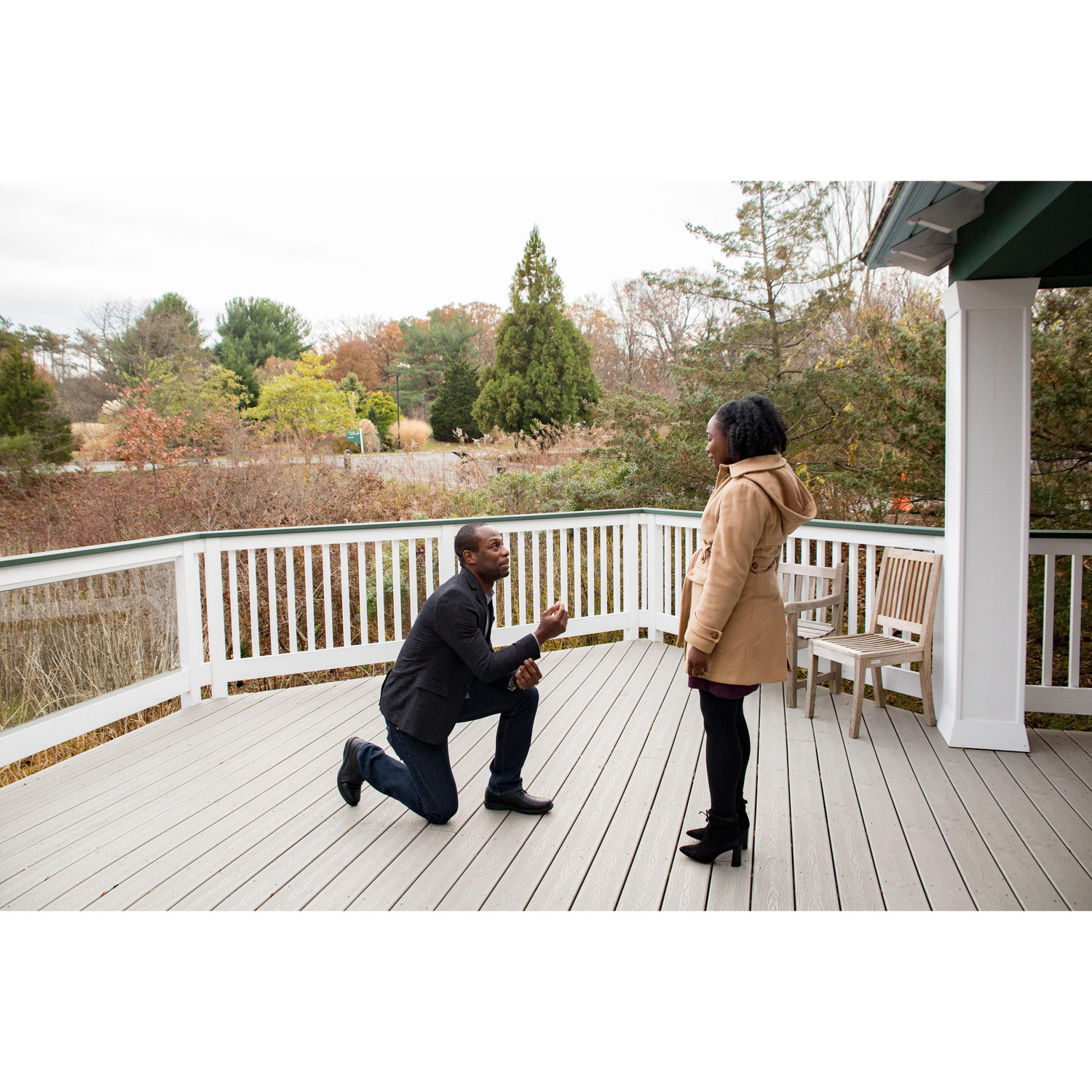 The Proposal