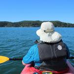 Kayak Tour or Rental