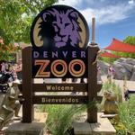 Denver Zoo