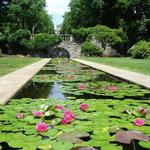 New Jersey Botanical Garden