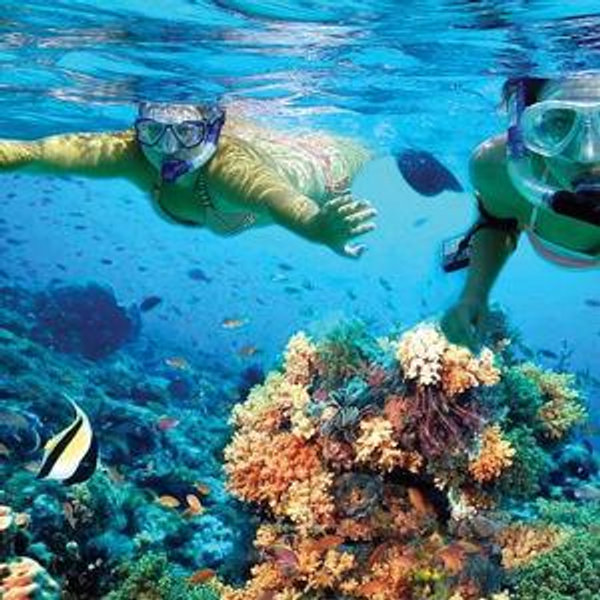 Snorkeling Excursion