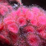 Seattle Aquarium