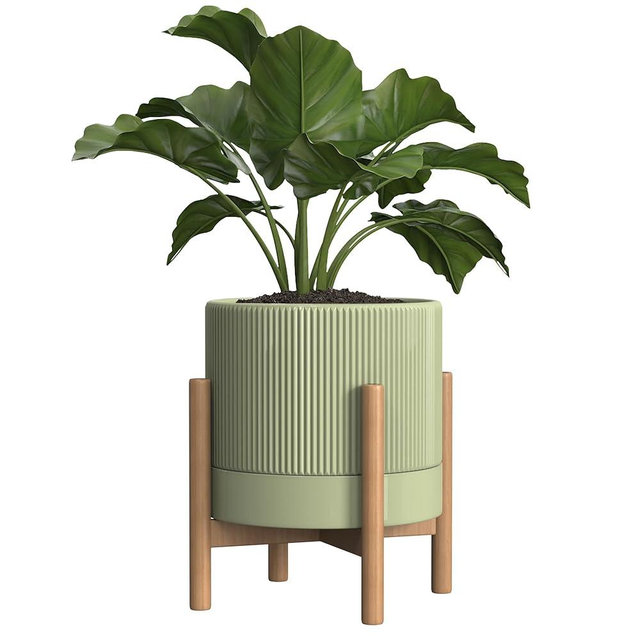 Carrward Ceramic Planter Pots Indoor with Drainage Hole & Saucer,Including Stand,7.3 Inch Mid-Century Modern Cylinder Plant Pot for Snake Flower Leaf Green