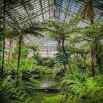 Garfield Park Conservatory