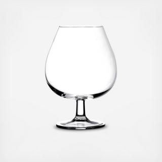 Invino Brandy Glasses, Set of 6
