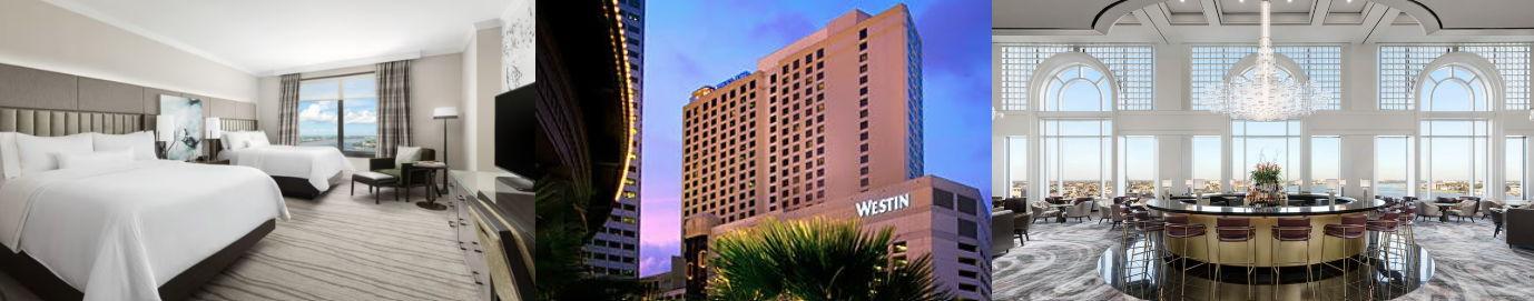 The Wedding Website of Alex Haysbert III and Casey Greggs