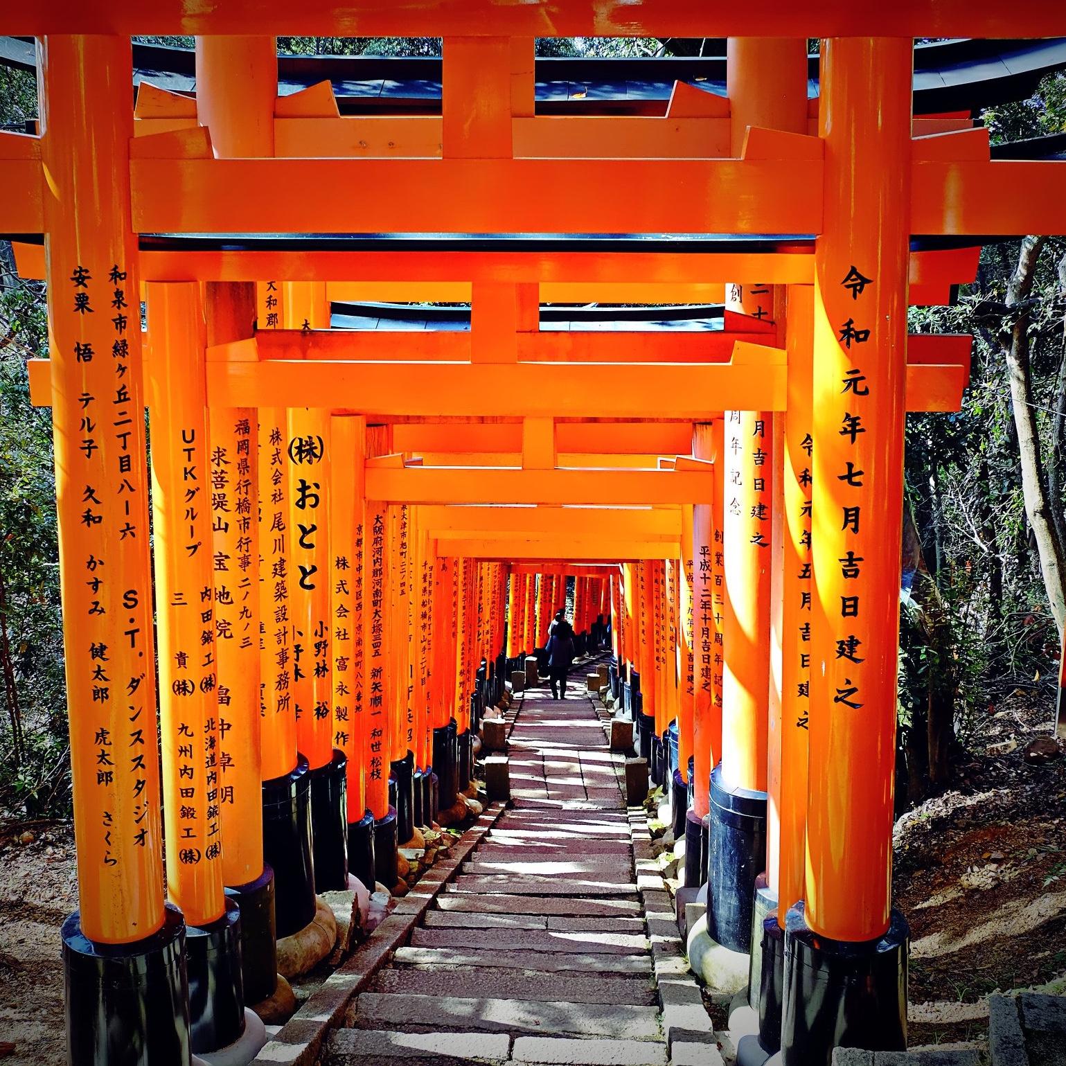 Dream Honeymoon to Japan