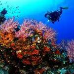 Diving Center
