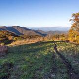 Moderate hike - Siler Bald