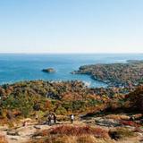Mount Battie Trail