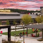 Halcyon