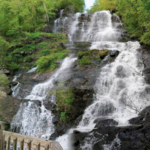 Amicalola Falls State Park