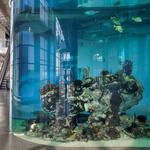South Carolina Aquarium