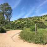 Santiago Oaks Regional Park