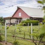 River Bend Winery & Distillery