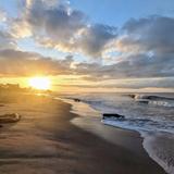 Carpinteria State Beach