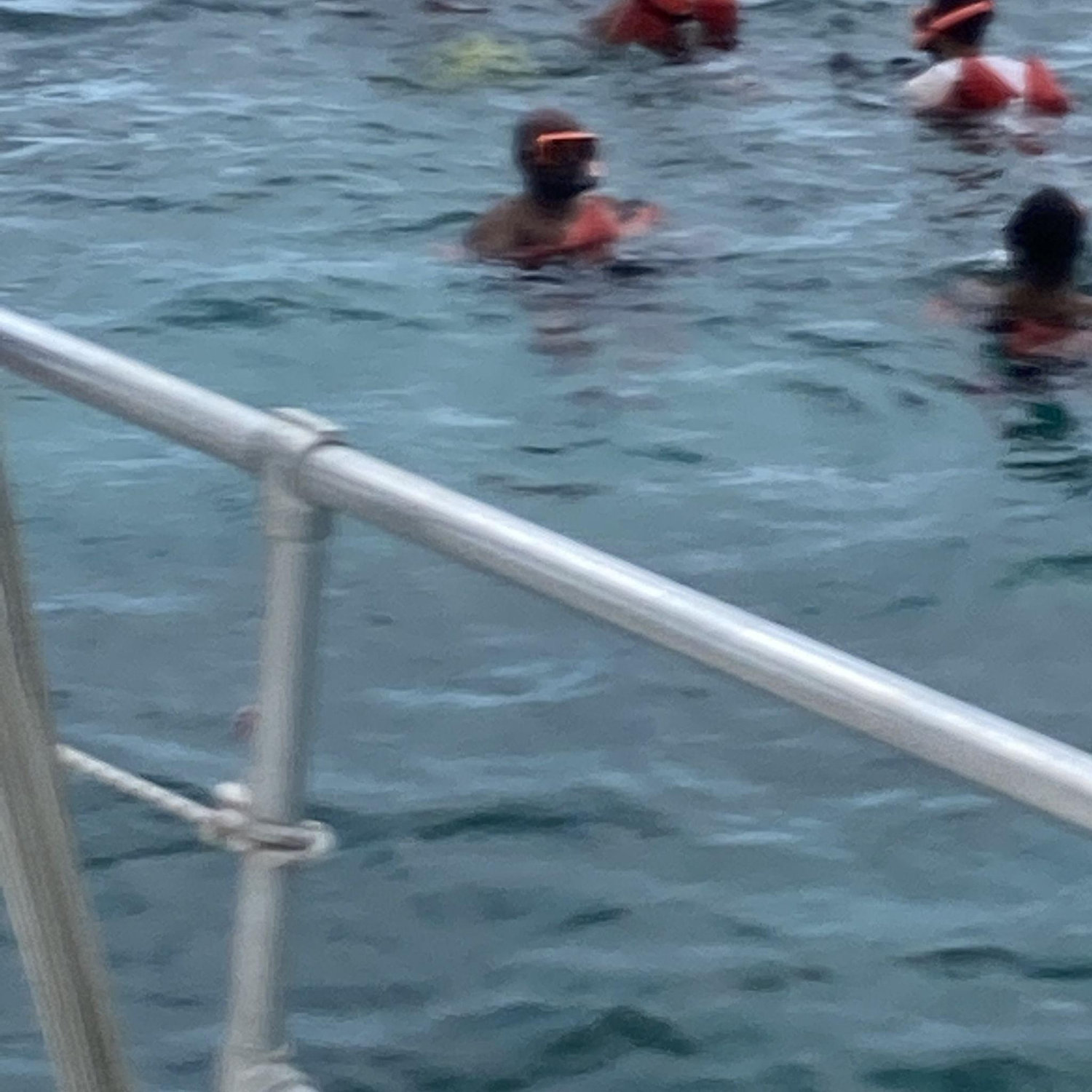 Snorkel