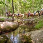 Russell Forest Trails