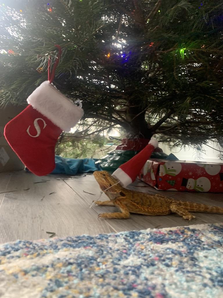 584b5a1e-ca4f-41e7-a4ef-00cba7872fdf