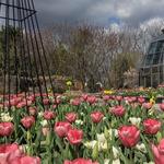 The Arboretum at Penn State