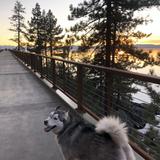 Tahoe East Shore Trail