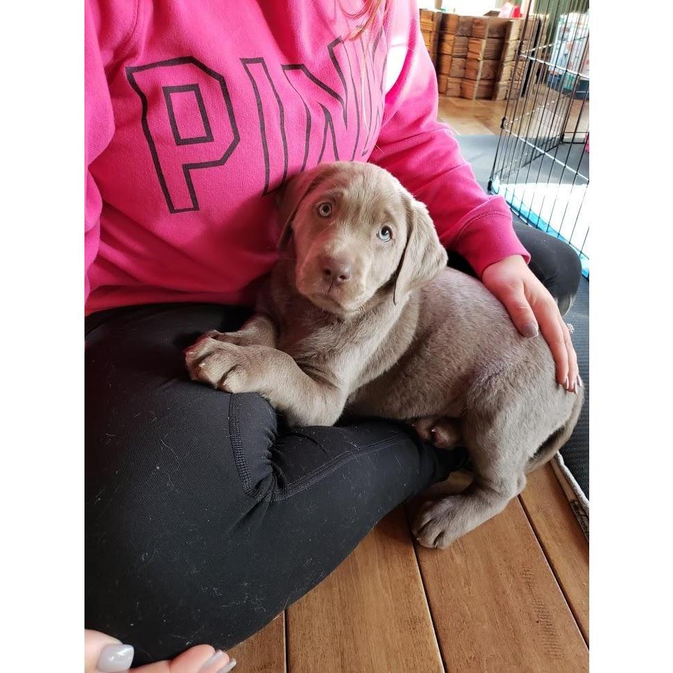 Our first day with Benelli