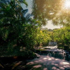 Honeymoon Activity - Tabacon Hot Springs Day Pass