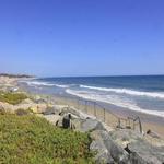 Carpinteria Day Trip